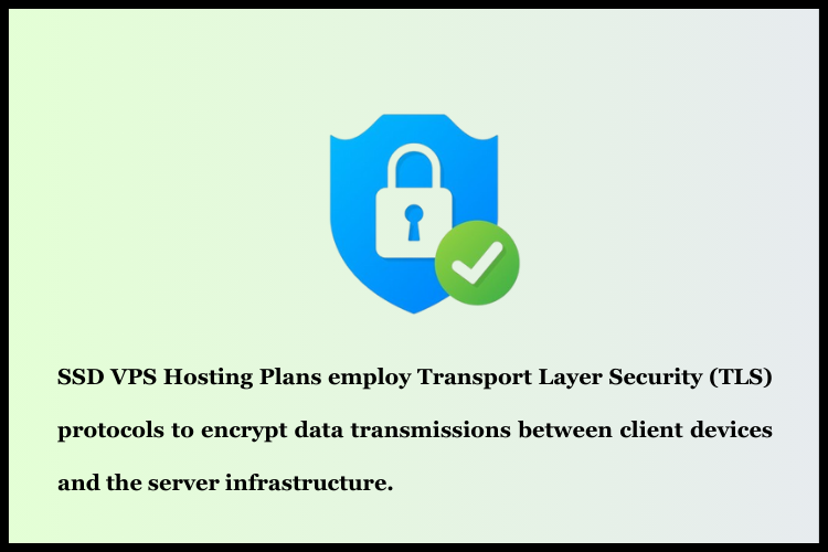 Data security in SSD VPS Hosting